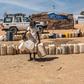 Countries without access to cleaning water [MSF]