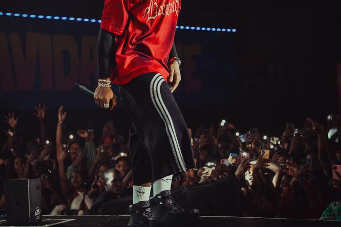 Revelers enjoyed Joeboy's performance