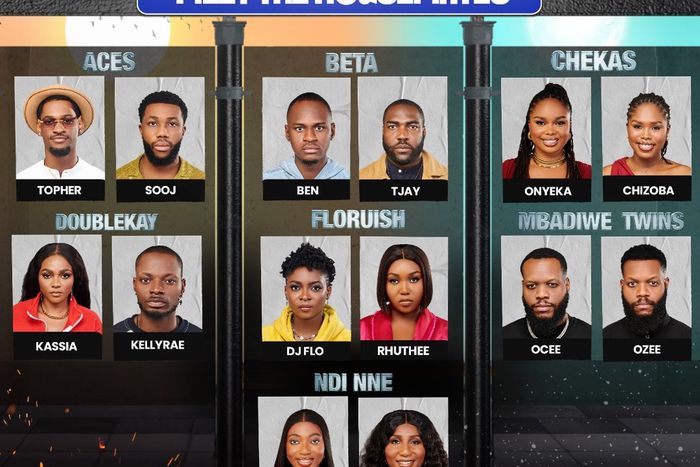 Meet the BBNaija 'No Loose Guard' housemates