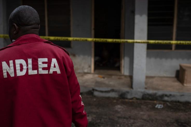 The NDLEA confirmed that no female aspirants have tested positive for drugs so far. [Getty Images]