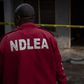 The NDLEA confirmed that no female aspirants have tested positive for drugs so far. [Getty Images]