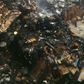Early morning fire caused by power surge destroys shops in Anambra market [NAN]