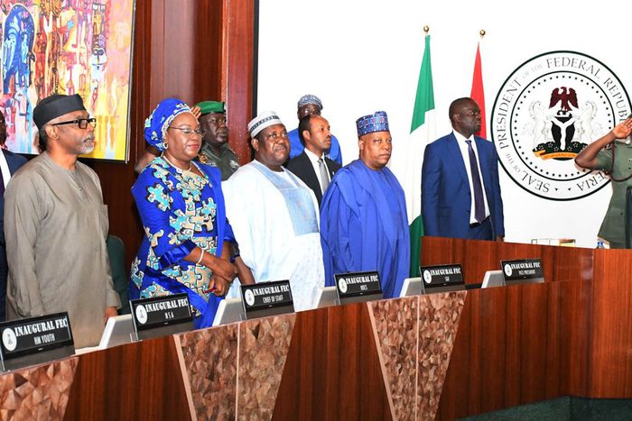 President Bola Tinubu and his cabinet members during a Federal Executive Council meeting. [Punch]