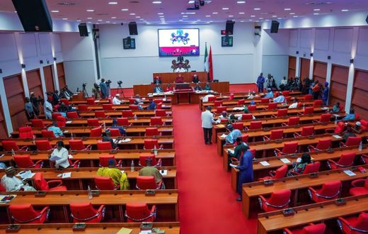 The Nigerian Senate. [Facebook]