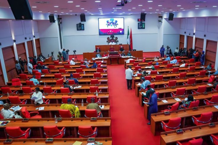 The Nigerian Senate. [Facebook]