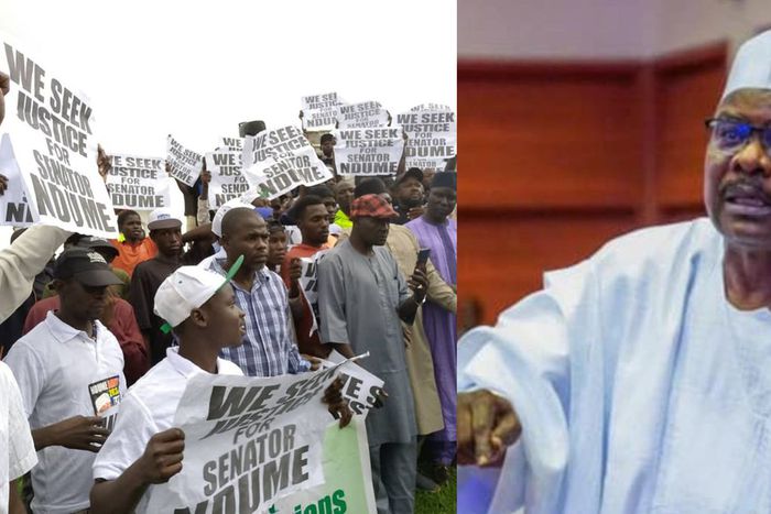 Borno protesters storm Abuja, demand reversal of Ndume's sack by Senate