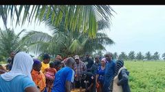 Baskets of tomato being sold at N1,000 at Bula community in Gombe State [NAN]