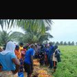 Baskets of tomato being sold at N1,000 at Bula community in Gombe State [NAN]