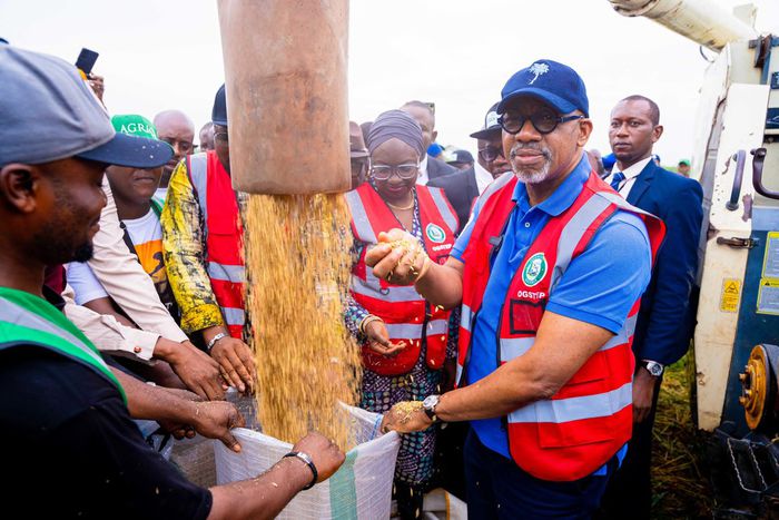 Ogun Government earns ₦1 billion revenue from rice production, poised to feed the nation