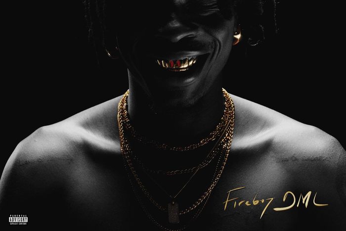 Fireboy releases highly-anticipated fourth album 'adedamola'