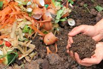 Compost your food scraps [LoveFoodHateWaste]