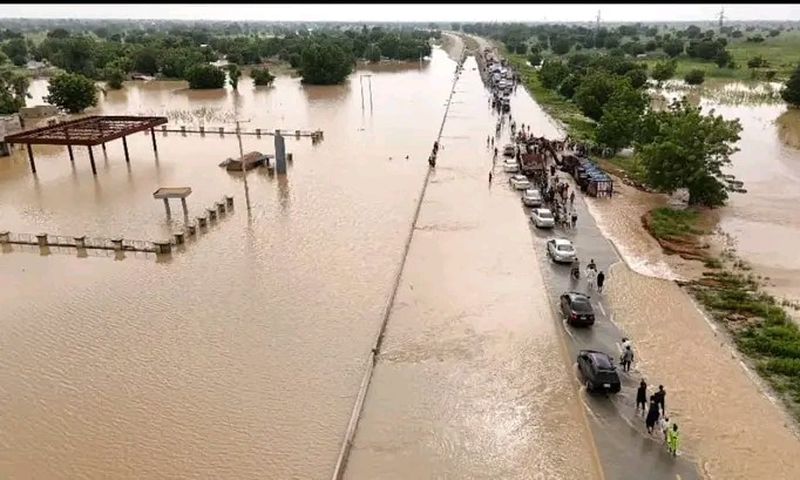 SEMA confirms 4 killed in Bauchi flood [Punch Newspapers]