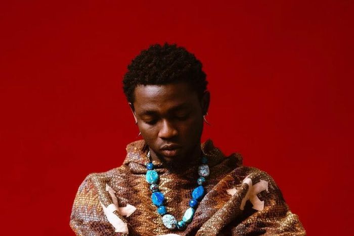 Omah Lay's 'Soso' gets platinum plaque in France