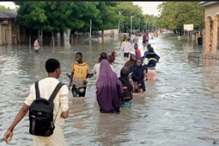 Maiduguri Flood: Residents trooping home as water recedes