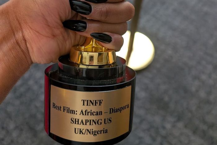 TINFF Award- Best Film - African Diaspora [Instagram/@shapingus]