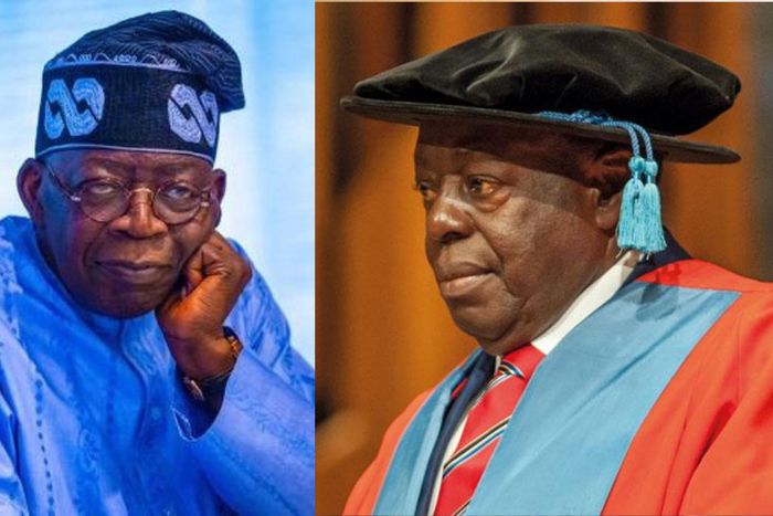 Tinubu's palliatives turning Nigerians into beggars - Afe Babalola
