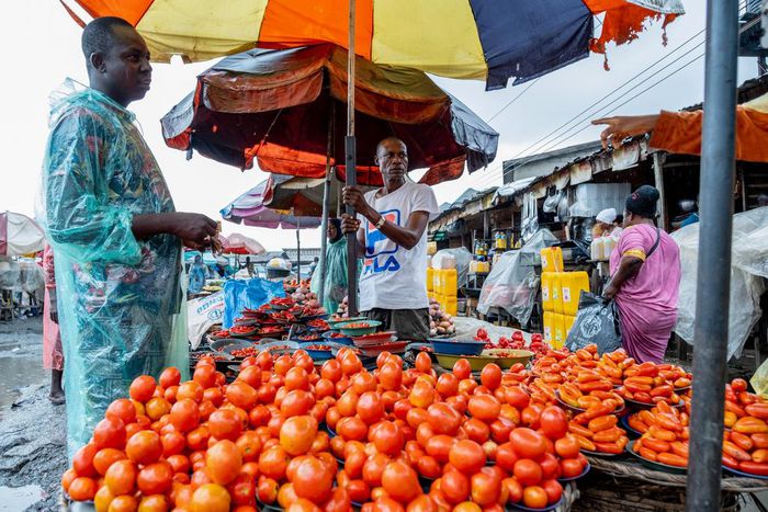How food prices exploded in 1 year under Tinubu — tomato price rose from ₦547 to ₦2,302