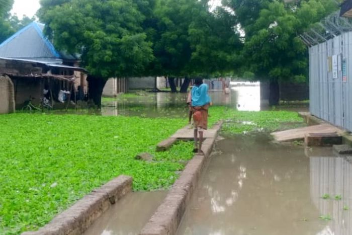 Flood kills 16, destroys 3,936 houses in Jigawa [Premium Times Nigeria]
