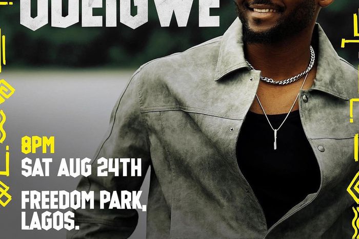 Meet Lawrence Udeigwe — The math wiz with music in his bones.