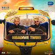 Mbadiwe Twin Bbnaija S9