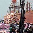 Food import tax waiver expect to