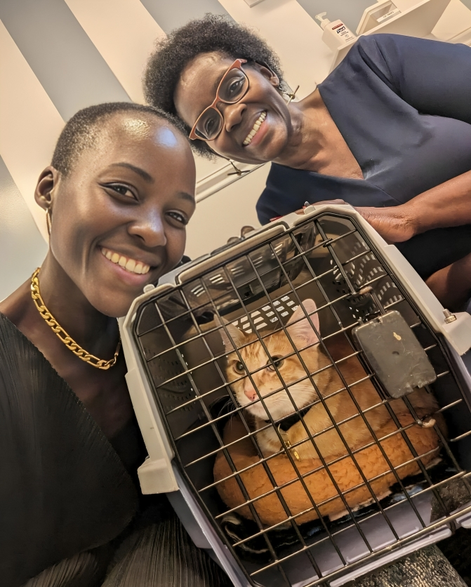 Hollywood star Lupita Nyong'o adopts cat named Yoyo after breakup with Selema Masekela