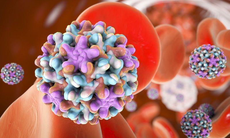 Hepatitis B [FamilyDoctor.org]