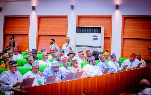 Reps move to exclude NECO, UI, 21 MDAs from 2025 budget for repeated accountability failures