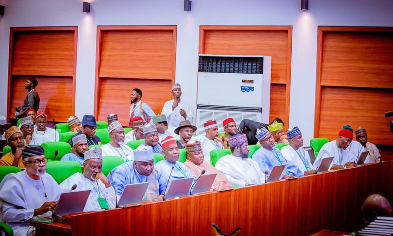 Reps move to exclude NECO, UI, 21 MDAs from 2025 budget for repeated accountability failures
