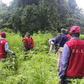 NDLEA destroys 7 hectares of hemp farms in Kogi, arrests 3 suspects [Daily Post Nigeria]