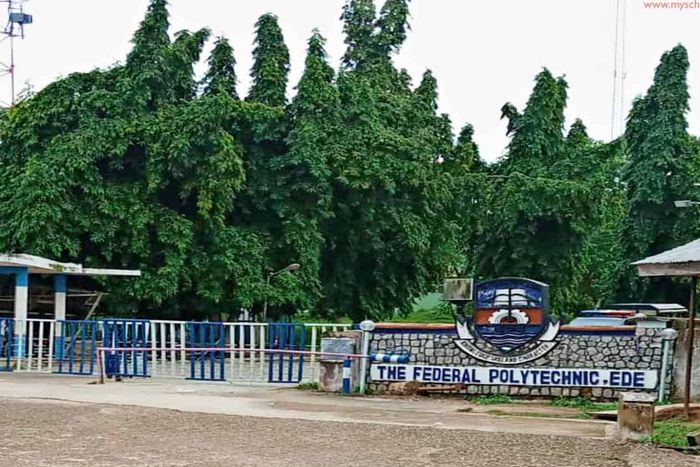 Federal Polytechnic Ede, Osun State [MySchoolGist]