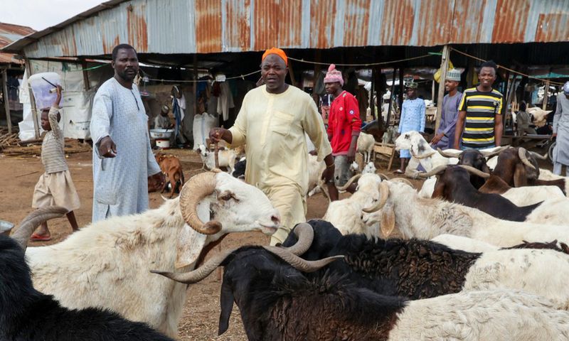 Livestock Market in Kano State. [Getty Images]
