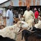 Livestock Market. [Getty Images]