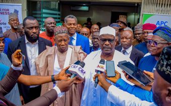 Senator Ali Ndume. [Punch]