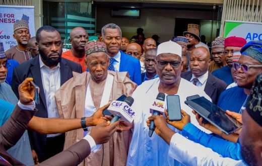 Senator Ali Ndume. [Punch]