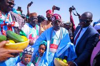 President Bola Tinubu dressed in his Agbada attire embroidered with the tri-colour of the APC.
