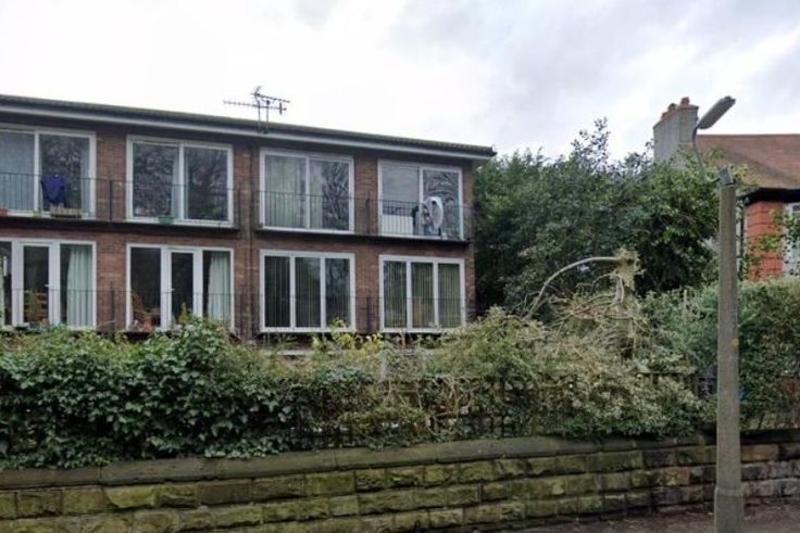 Screenshot 20240821-082958 Photos