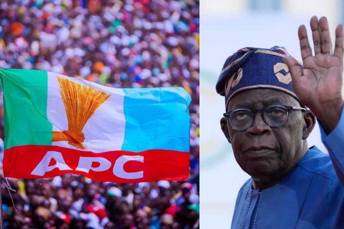 We're concerned about Nigeria's situation under Tinubu - APC state chairmen
