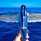 The fish that could 'fly' [Halfpastfirstcast]