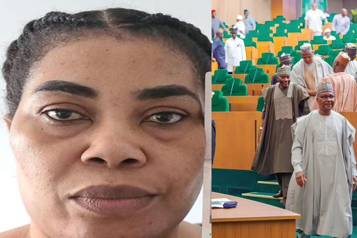 The Nigerian government hopes that Canada will uphold these values by ensuring that Ms. Amaka Sunnberger faces justice for her dangerous rhetoric. [Facebook/X]