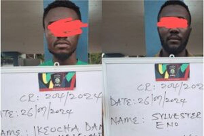 2 men arrested for taking advantage of glitch at leading fintech to steal ₦613m [NAN]