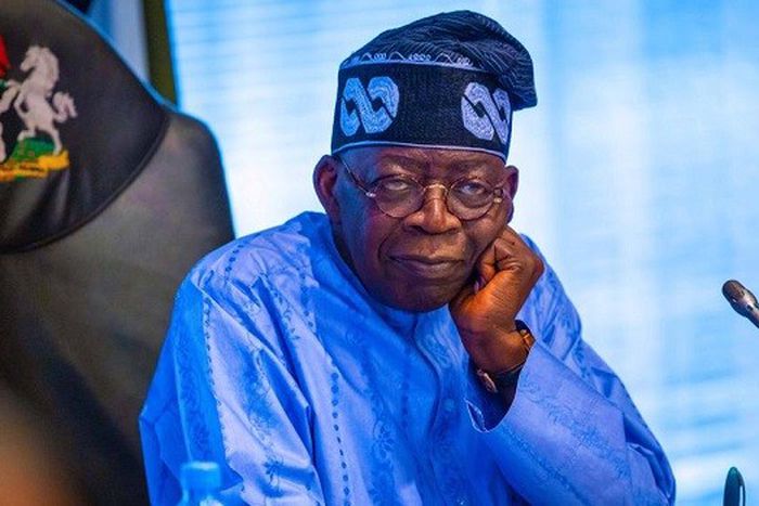 What Nigerians stopped buying since Tinubu became President [Thenation]