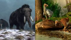 These animals are now extinct [LADbible]