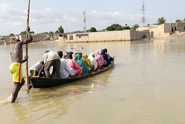 Floods hit Maiduguri zoo, animals suddenly break free