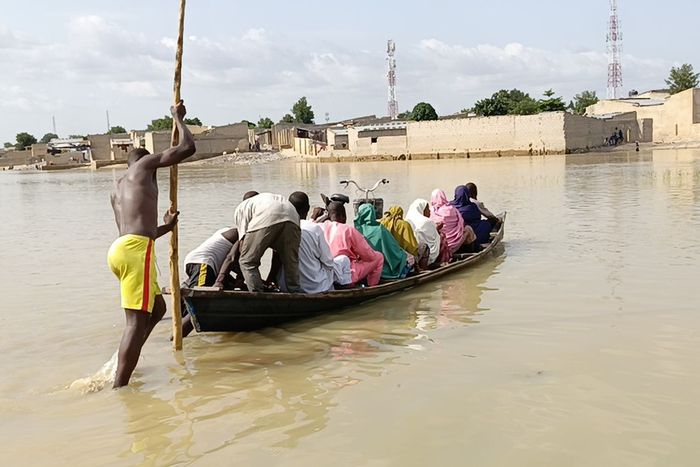 Floods hit Maiduguri zoo, animals suddenly break free