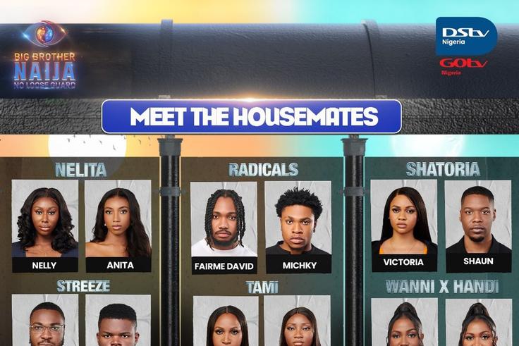 Meet the housemates in this 'BBNaija: No Lose Guard'  season