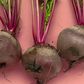Beetroot- {Healthline}