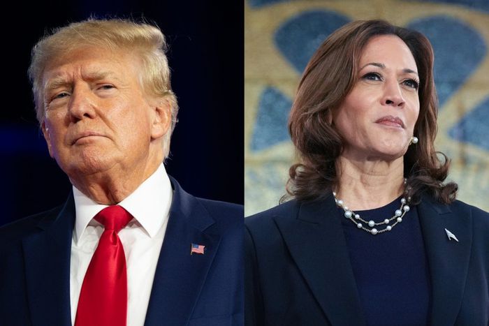 Both the Trump and Harris campaigns are gearing up for a nasty legal battle in court over the outcome of this year's election.Brandon Bell/Getty Images and Andrew Harnik/Getty Images