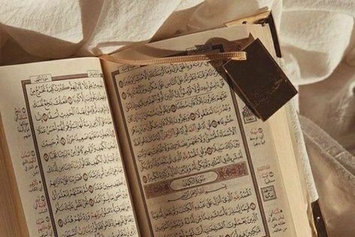 The Holy Quran (Noor)
