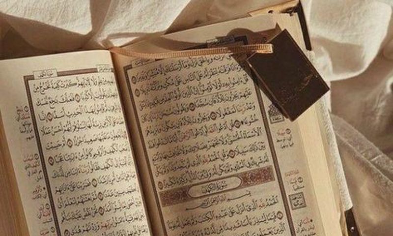 The Holy Quran (Noor)